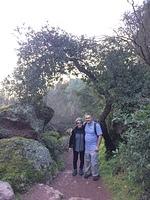 IMG 4469