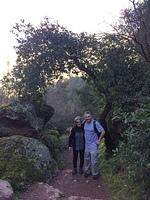 IMG 4471