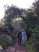 IMG 4475