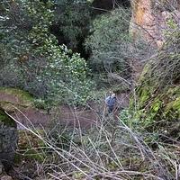 IMG 4506