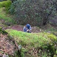 IMG 4512