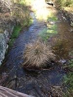 IMG 4552