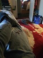IMG 4651