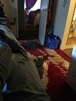 IMG 4652