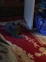 IMG 4653