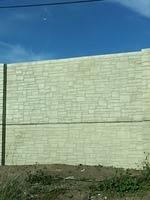 IMG 4680