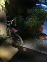 IMG 4701