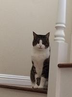 IMG 4707