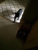 IMG 4713