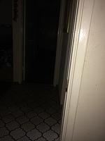 IMG 4716