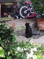 IMG 4721