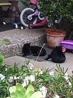 IMG 4730