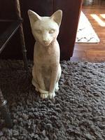 IMG 4738