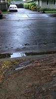 IMG 4776