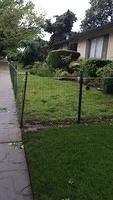 IMG 4777