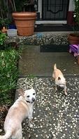 IMG 4778