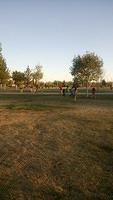 IMG 4841