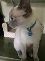 IMG 4854