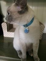 IMG 4855