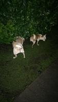 IMG 4864