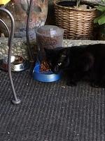 IMG 4871