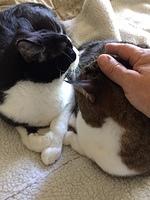 IMG 4885
