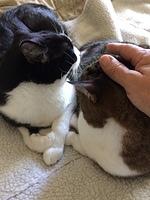 IMG 4886