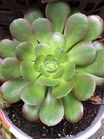 IMG 4888