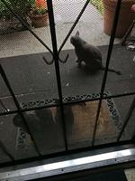 IMG 4926