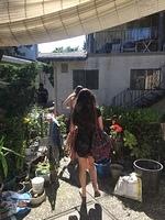 IMG 4952