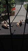 IMG 4956