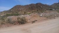 IMG 5017
