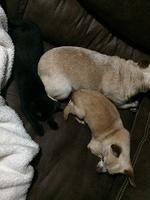 IMG 5119