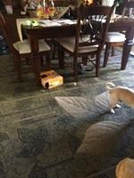 IMG 5147