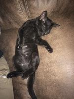 IMG 5167