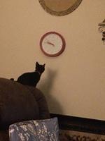 IMG 5175