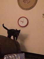 IMG 5177