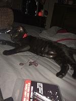 IMG 5259