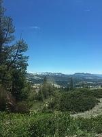 IMG 5287