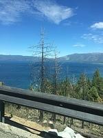 IMG 5303