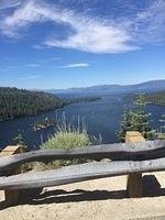 IMG 5318