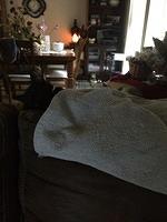 IMG 5358