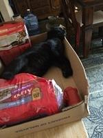 IMG 5473