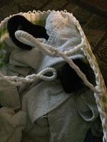 IMG 5566