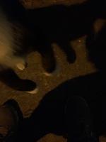 IMG 5592