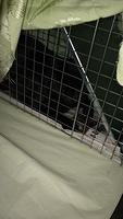 IMG 5684