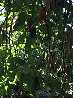 IMG 5722