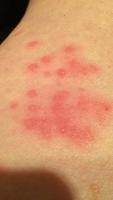 IMG 5789