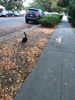 IMG 5809