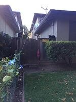 IMG 5810
